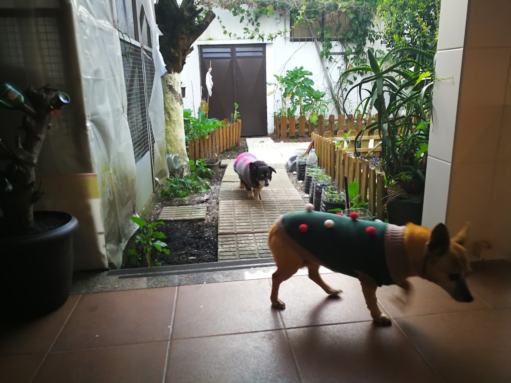 Foto da avaliação