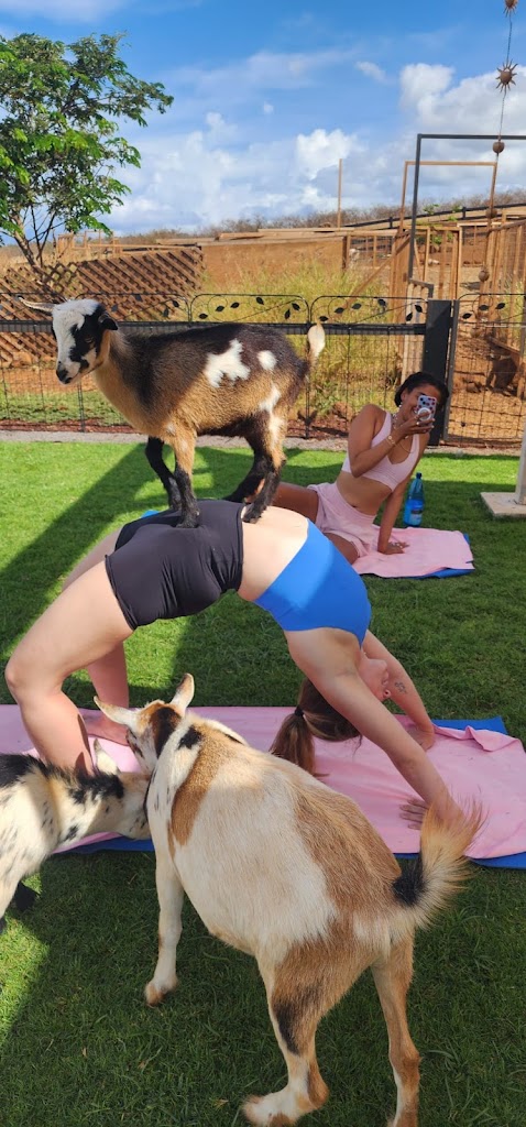  "The Only" Lahaina Goat Yoga 96761 Maui, HI