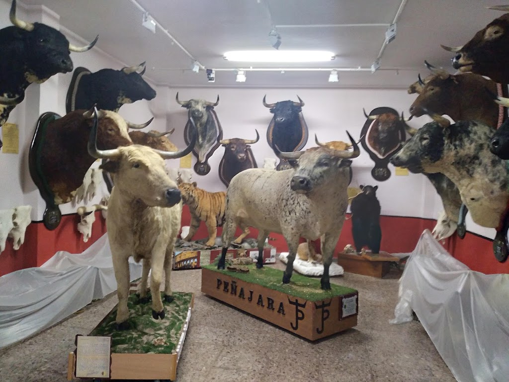 MUSEO DE CASTAS Y ENCASTES DEL TORO DE LIDIA