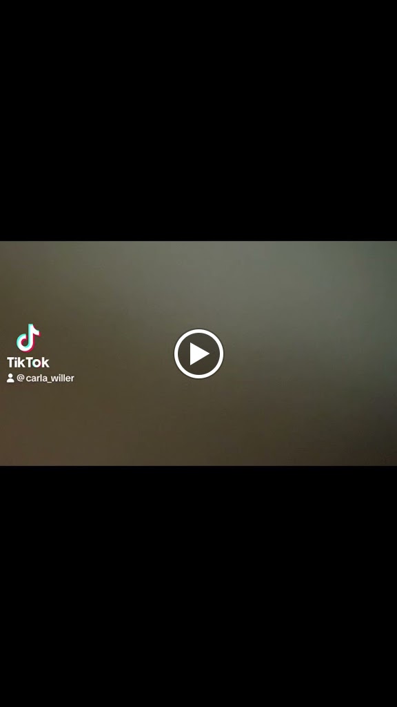 OCTOPUS RESTAURANT — Videos