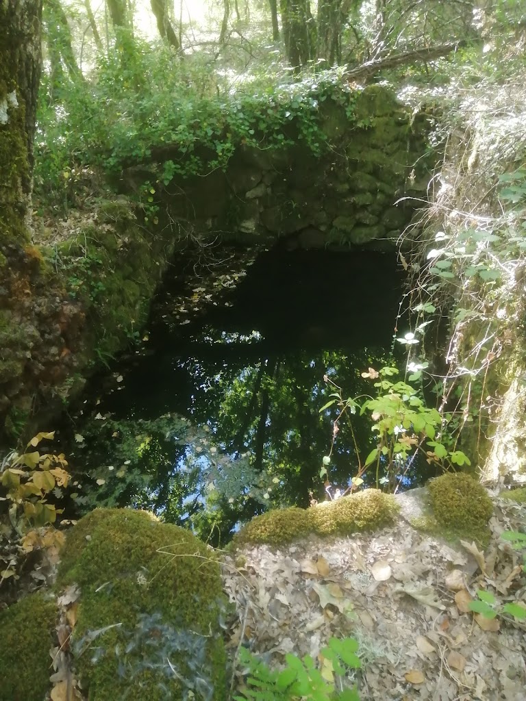 sendero micologico Cepeda Madronal Herguijuela