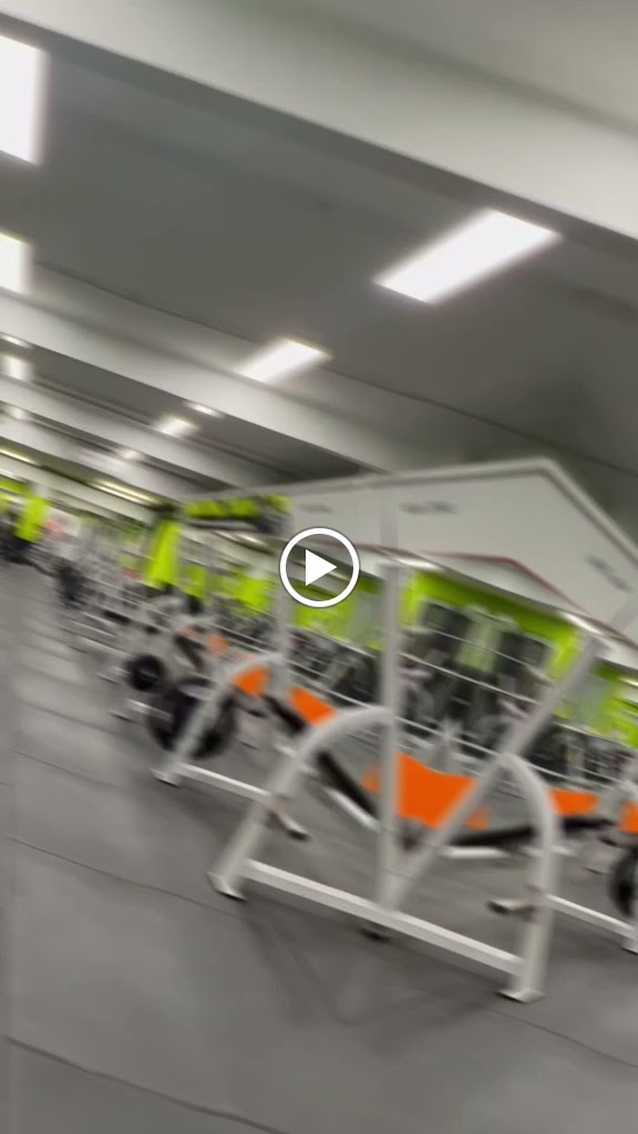 Fit-Plus — Del propietario