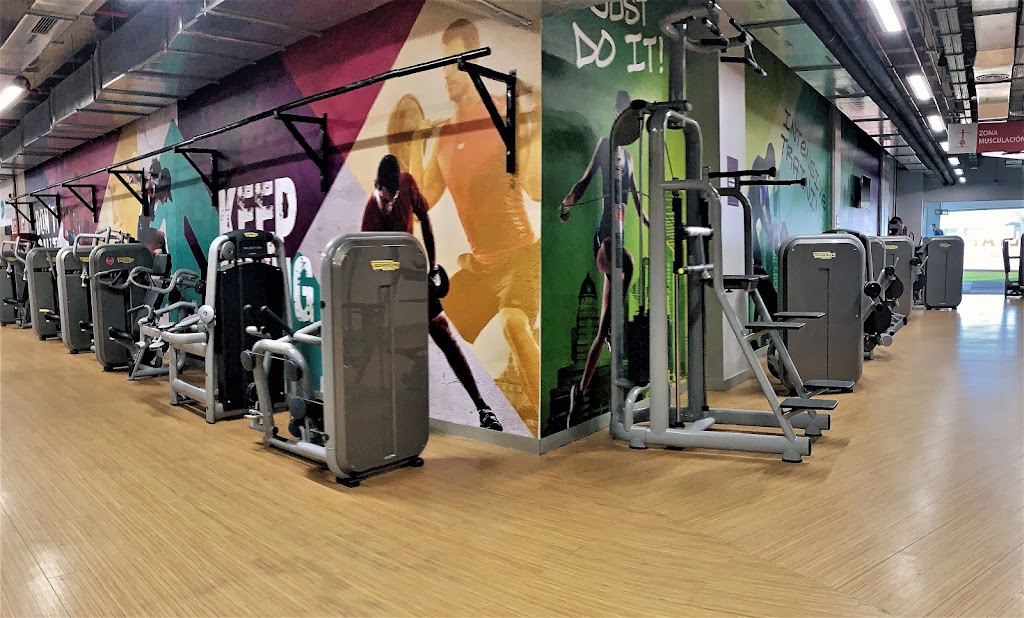 Gimnasio AltaFit Las Arenas — Del propietario
