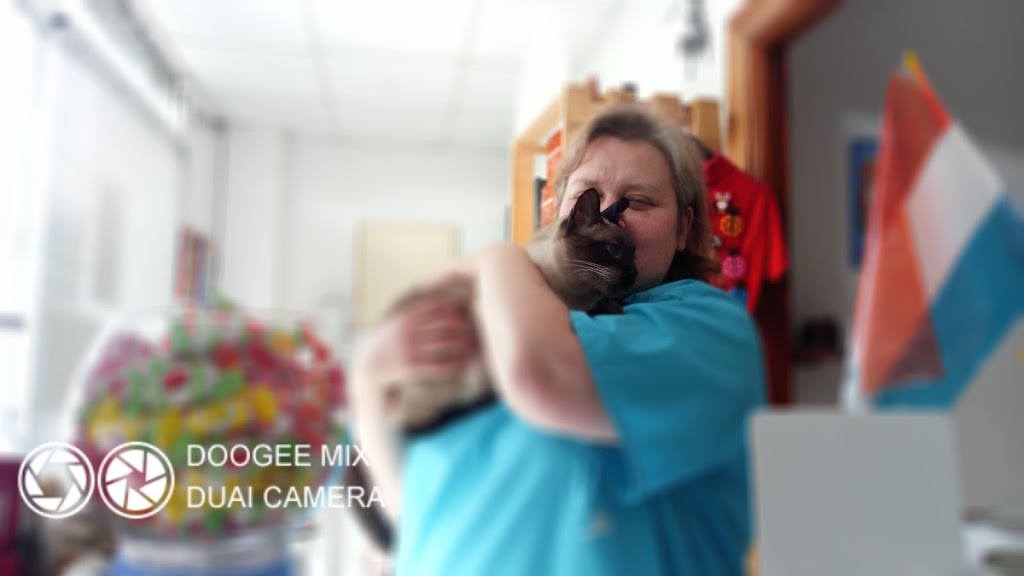 Clinica Veterinaria Ampudia