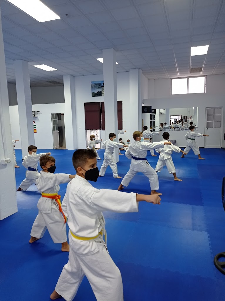 Honbu Dojo Torcal Antequera