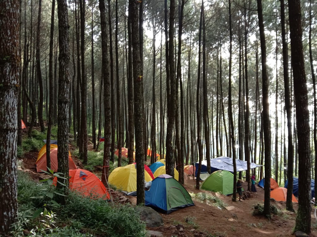 Camping Ground Gunung Andong
