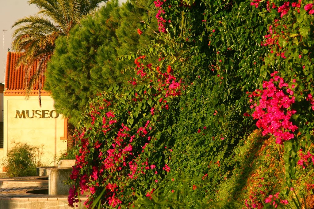 Museo De Alcala De Guadaira