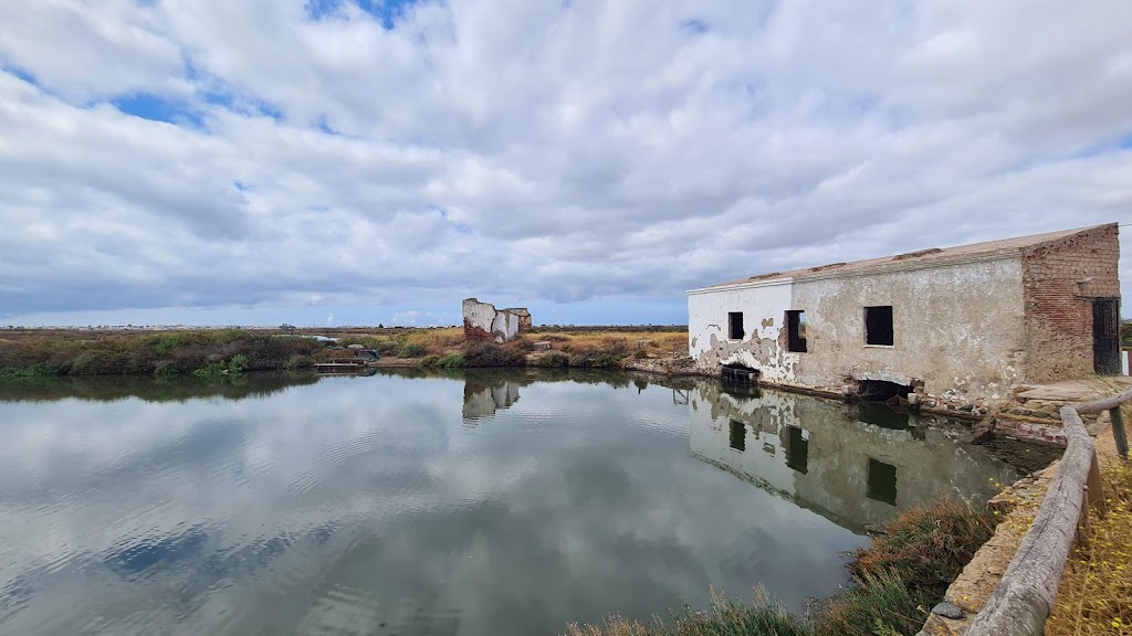 Molino Mareal de Pozo del Camino