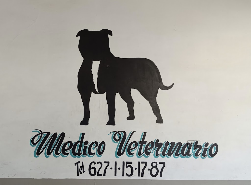 Perro