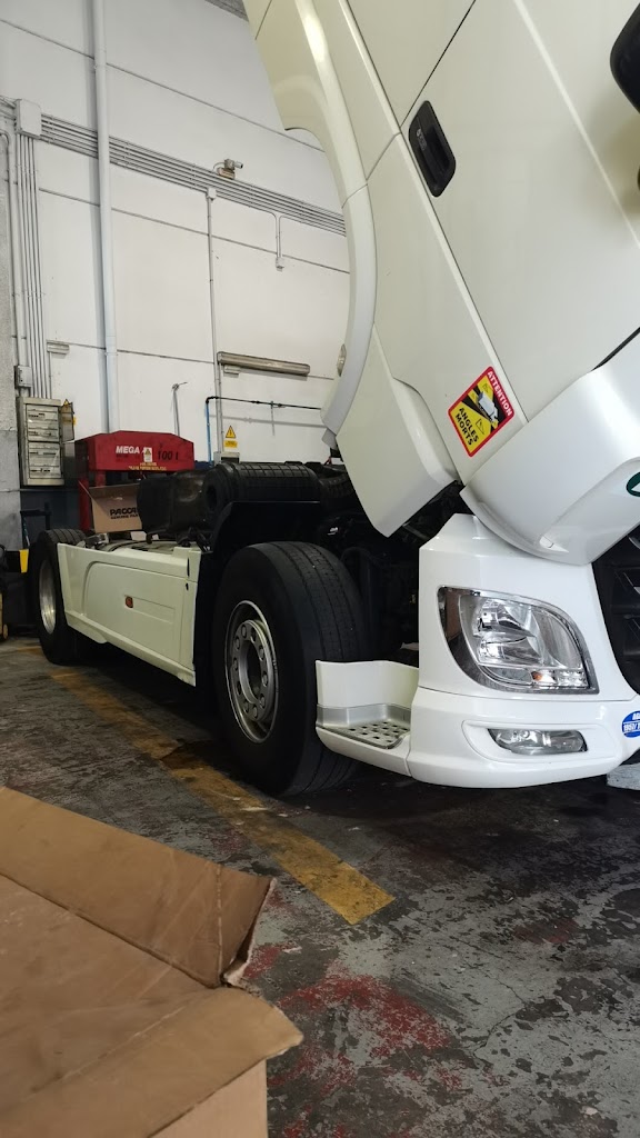 THC Algeciras Multimarca Daf