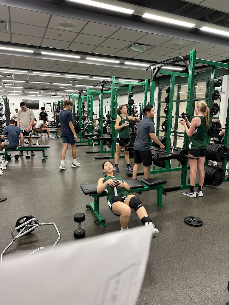  Impact Sports Performance