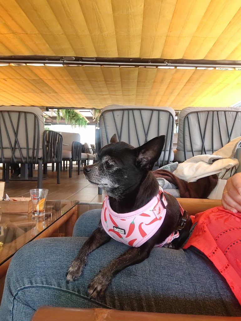 Yorko's Gastrobar — Mas recientes