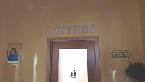 Academia de Estudios Littera — Del propietario