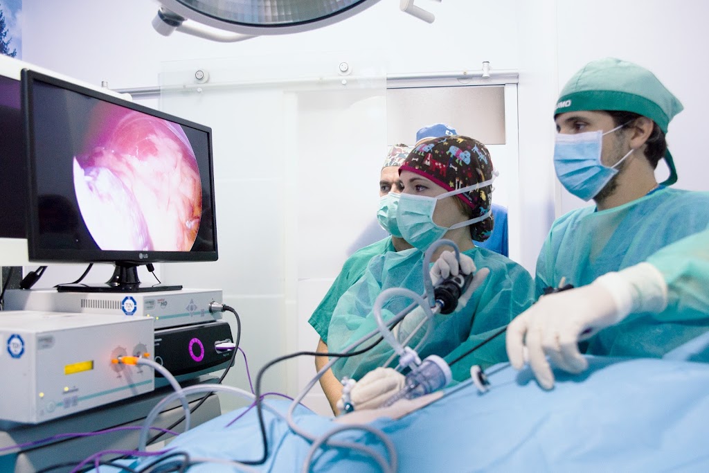 Clinica Veterinaria Silla — Del propietario