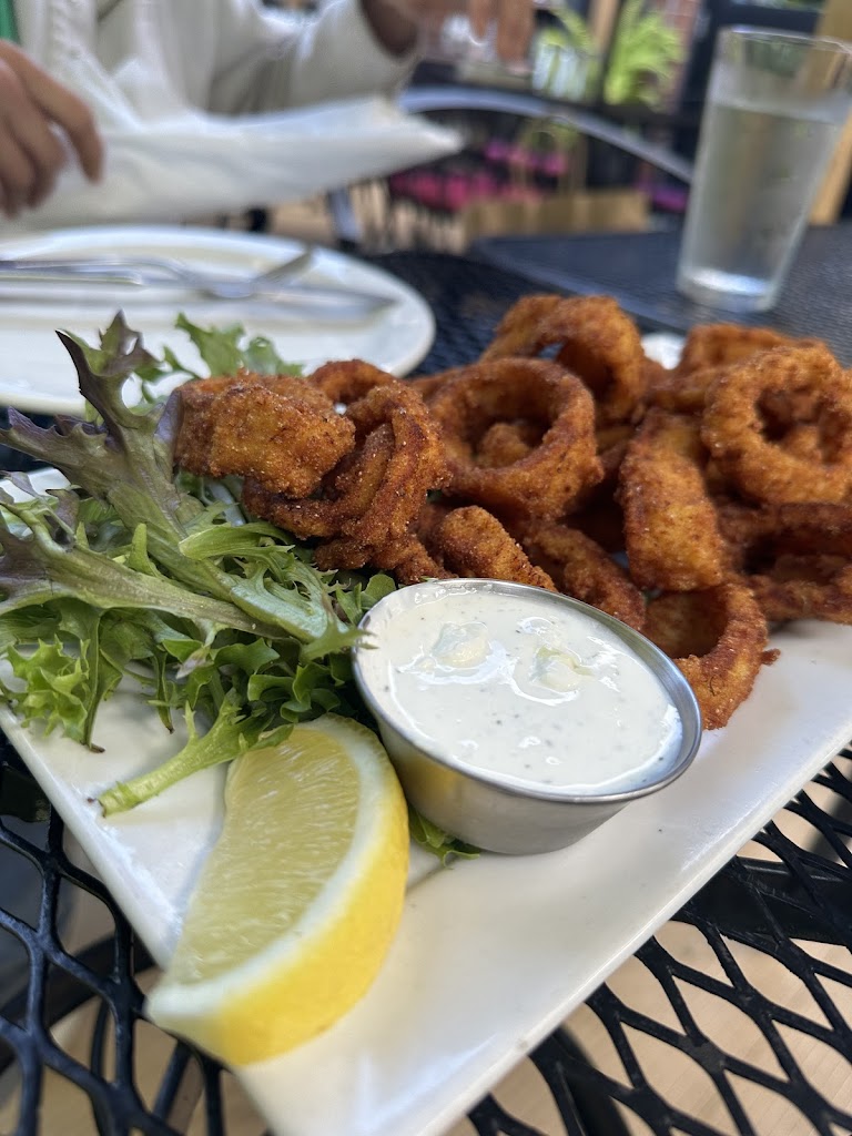 Squid