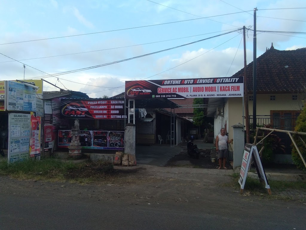 Fast audio mobil profesional