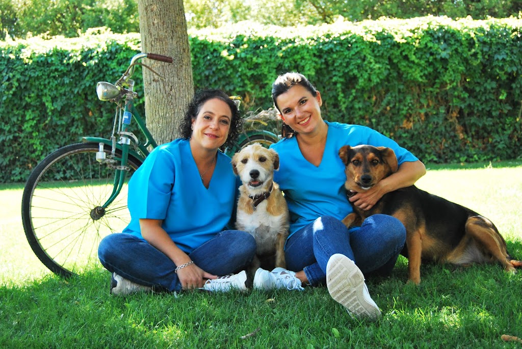 Aranda Clinica Veterinaria - Aranda de Duero