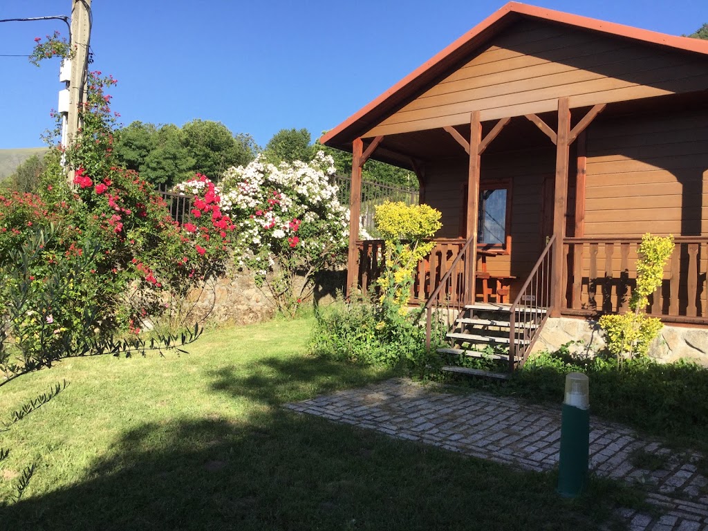 CAMPING CINCO CASTANOS