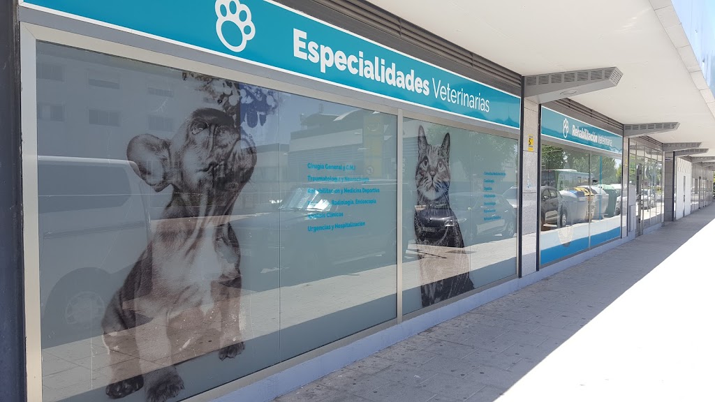Hospital Veterinario San Anton S. L.