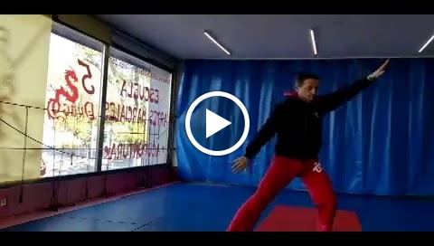 Escuela de Artes Orientales. Wushu 5 Dragones — Del propietario