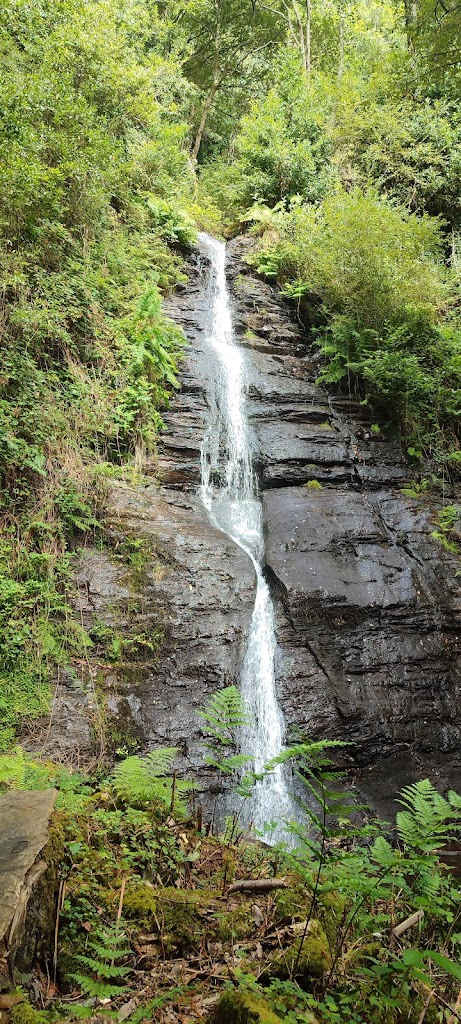 Ruta de sendeirismo "Ruta da Ferrea"