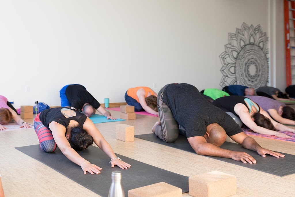  Honor Yoga North Brunswick VIRTUAL STUDIO