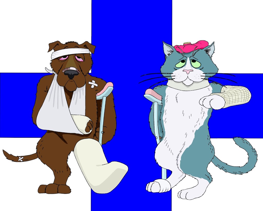 Clinica Veterinaria Zaunka — Del propietario