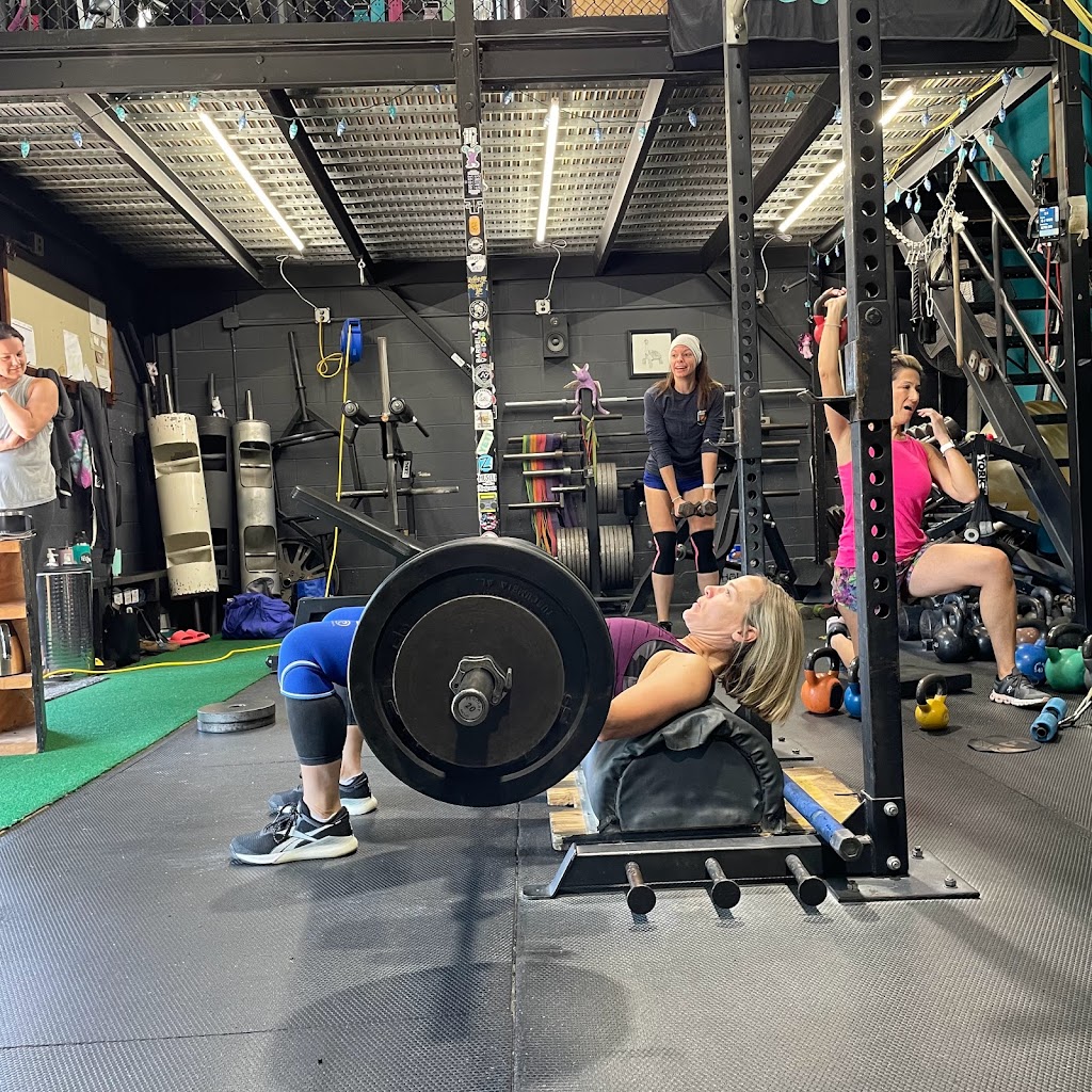  HALE Strength and Shape