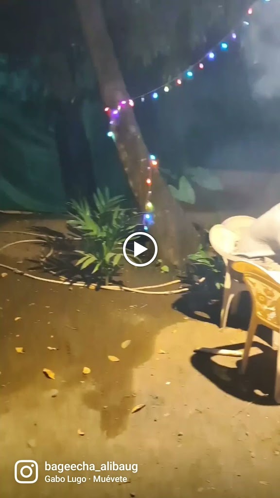 Videos