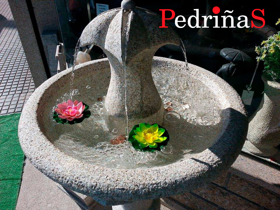 Pedrinas