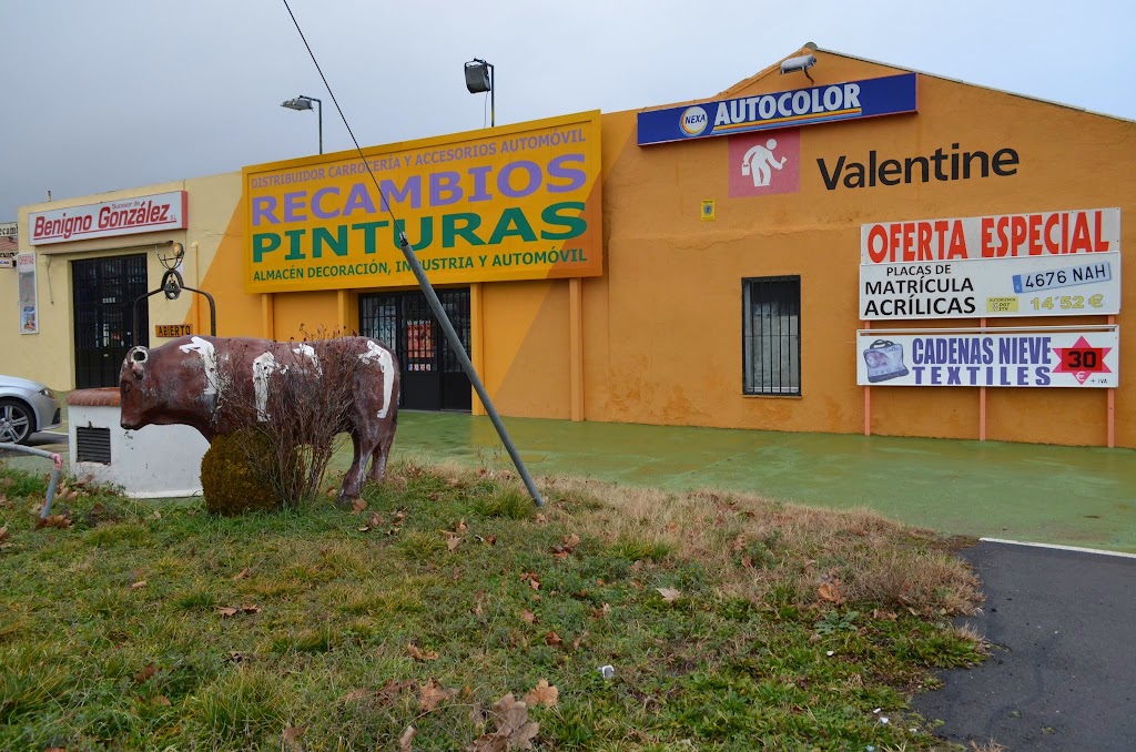 Sucesor de Benigno Gonzalez S. L.