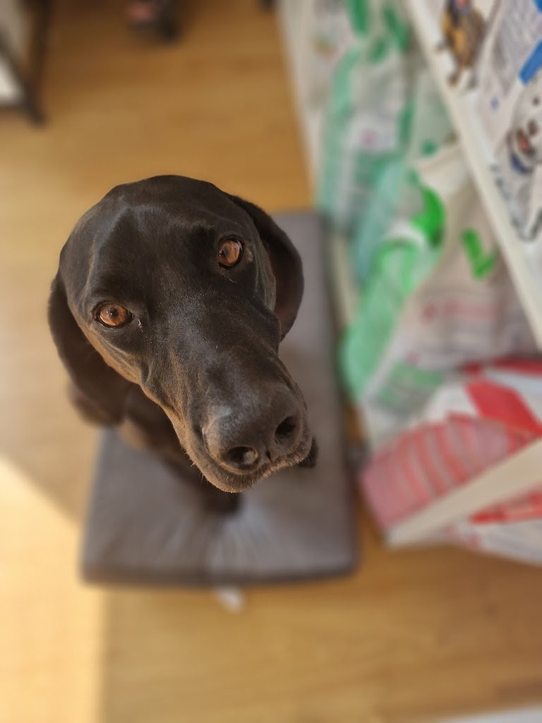 Centre Veterinari SmartVet (Centro Veterinario)