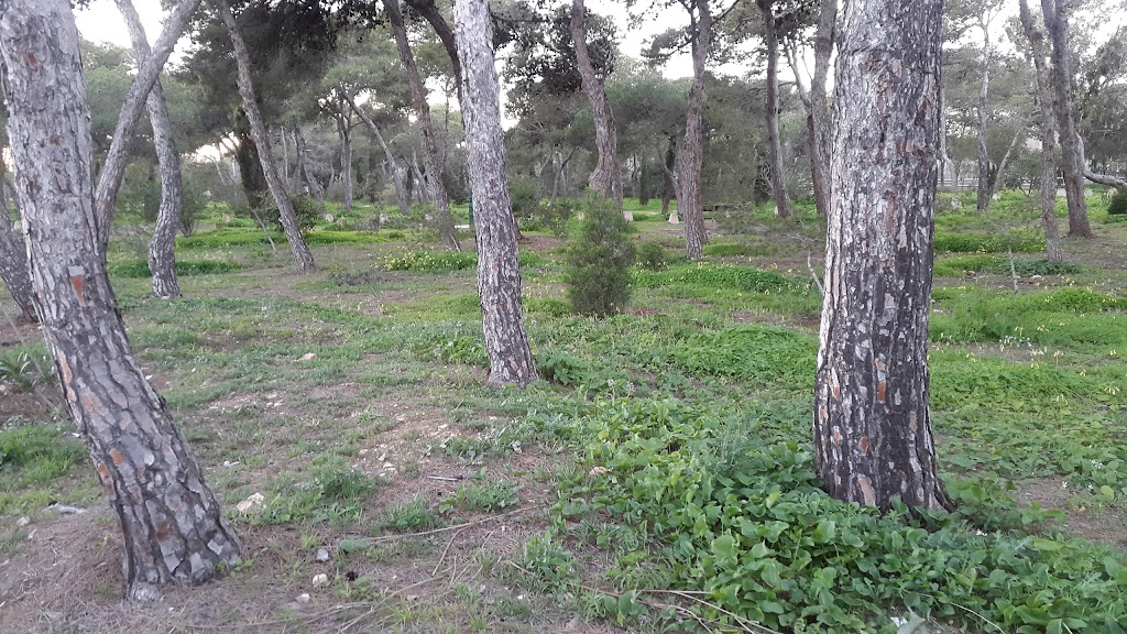 Parque de Ocio y Deporte El Fuerte
