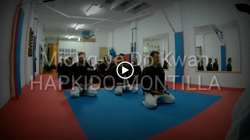 Hapkido Montilla — Videos