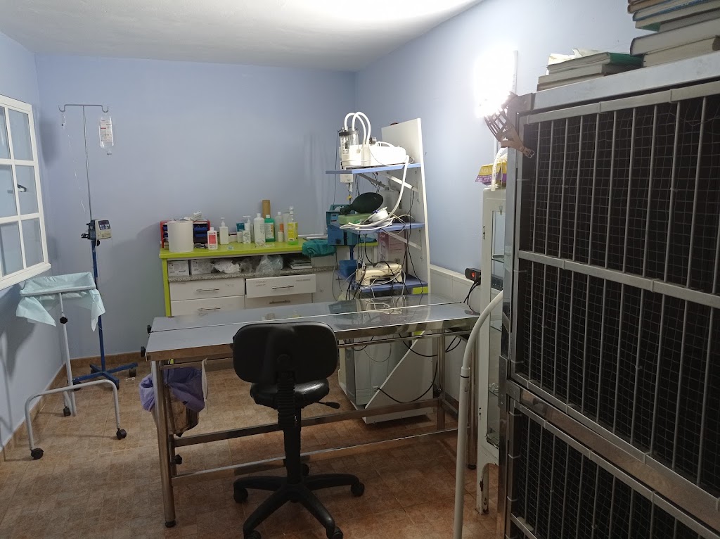 Centro Veterinario Animal doc — Del propietario