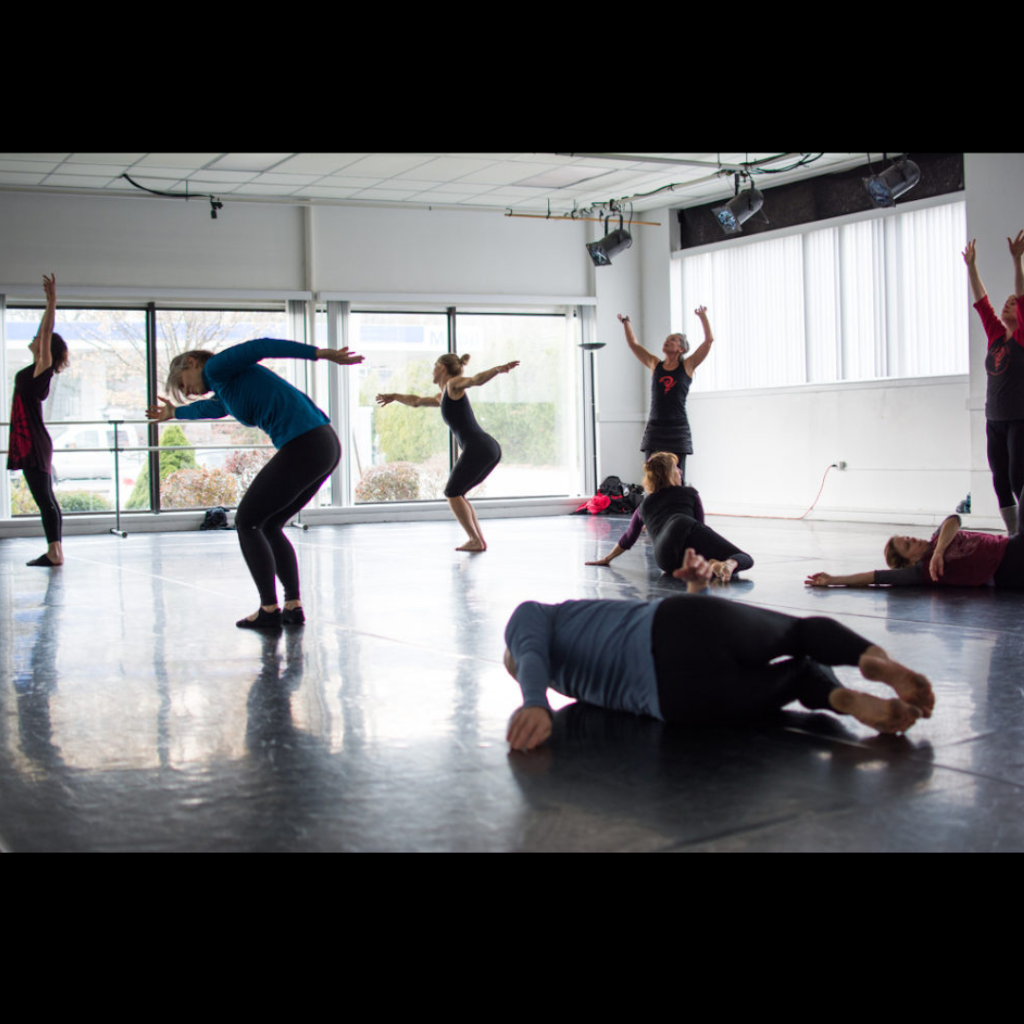  Casco Bay Movers Dance Studio