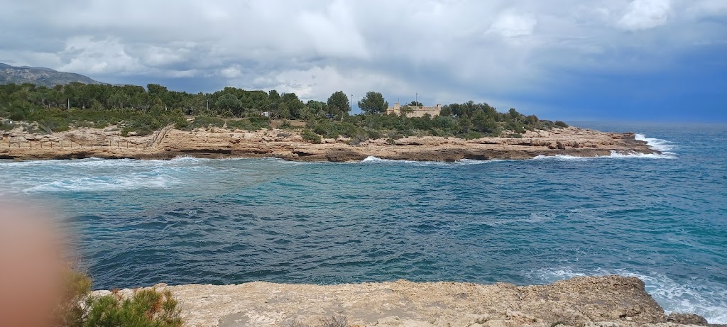 Circuit d'agilitat canina