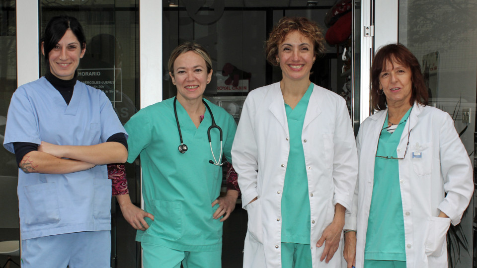 Clinica Veterinaria Txingudi — Del propietario