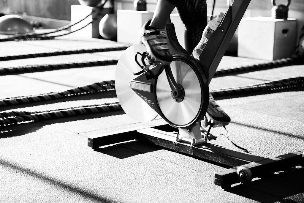  Twisted Cycle Kennesaw