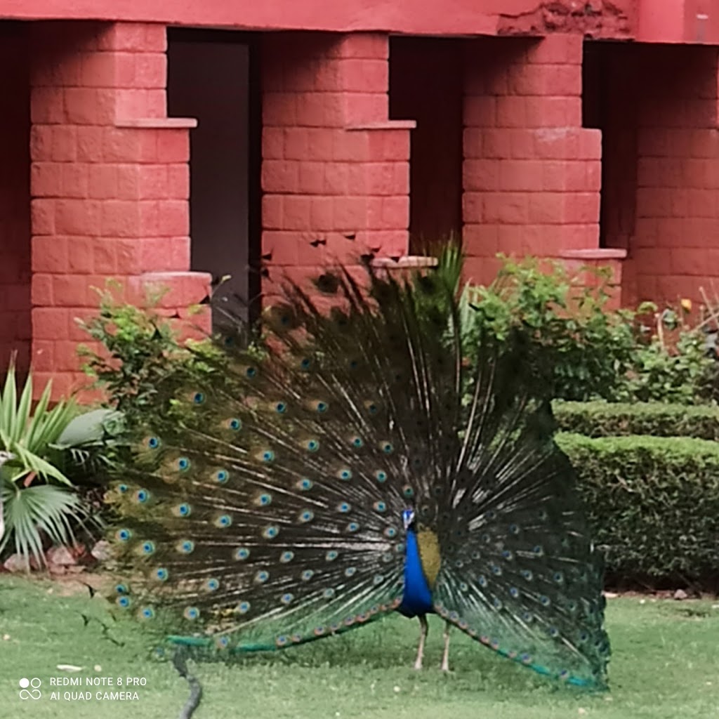 Hotel Gulistan Tourist Complex