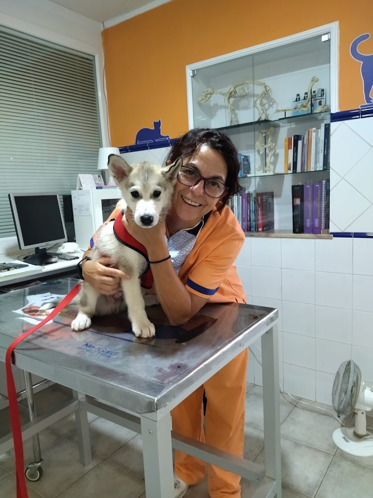 Centro Veterinario Fuengirola Pueblo Lopez — Del propietario