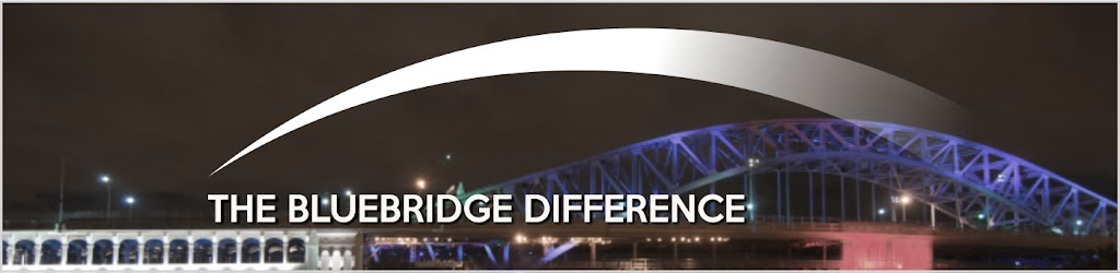Bluebridge Networks