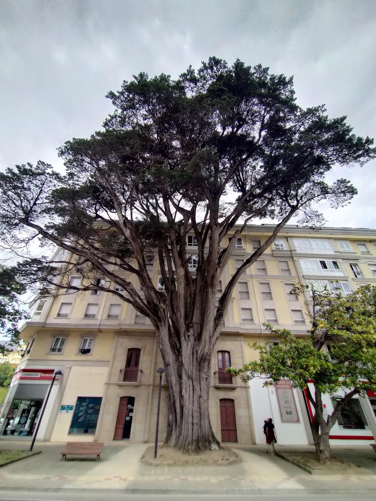 First Stop Palacios Total Car Viveiro