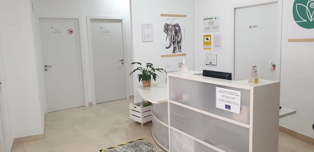 Fisioterapia Illescas Centro Holistico de Cea — Del propietario