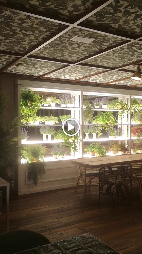 La Rollerie Boadilla — Ambiente