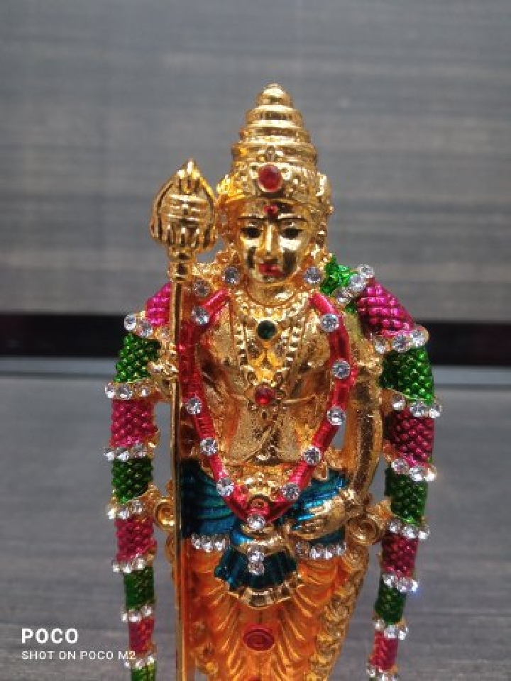 Hotel Gangaa