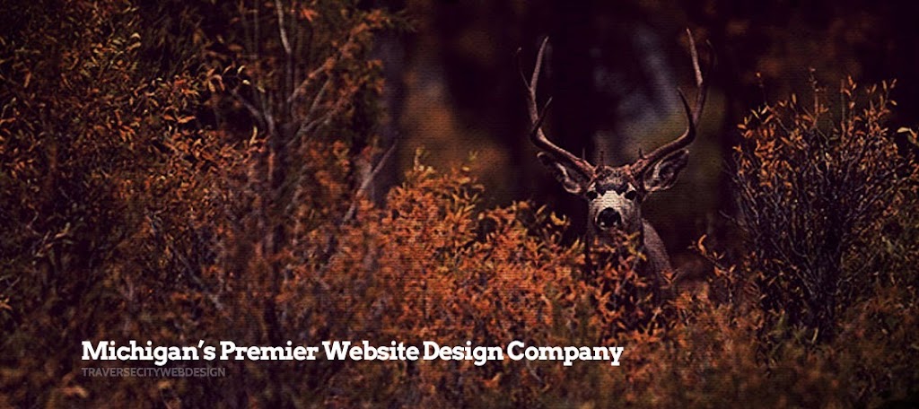 Traverse City Web Design Llc