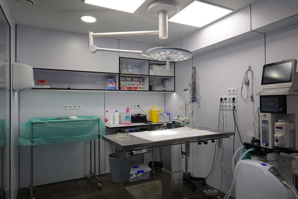 HOSPITAL VETERINARIO AVINGUDA