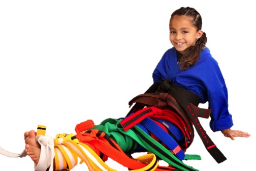  Topflight Martial Arts