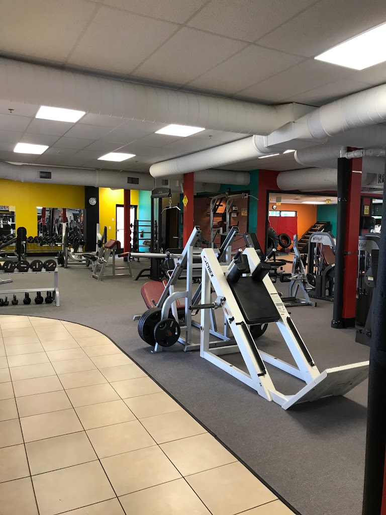  Vision Fitness and Health